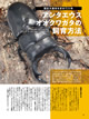 BE-KUWA (ビークワ）