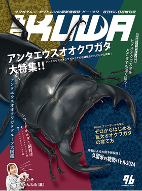 BE-KUWA最新刊