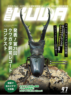 BE-KUWA最新刊