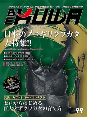 BE-KUWA　クワガタ・カブト専門誌