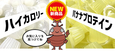 ヤマイネ製昆虫ゼリー 新発売!