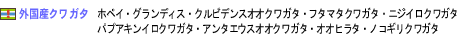 外国産クワガタ：ホペイ・グランディス・クルビデンスオオクワガタ・フタマタクワガタ・ニジイロクワガタ・パプアキンイロクワガタ・アンタエウスオオクワガタ・オオヒラタ・ノコギリクワガタ