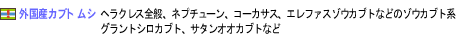 外国産カブトムシ